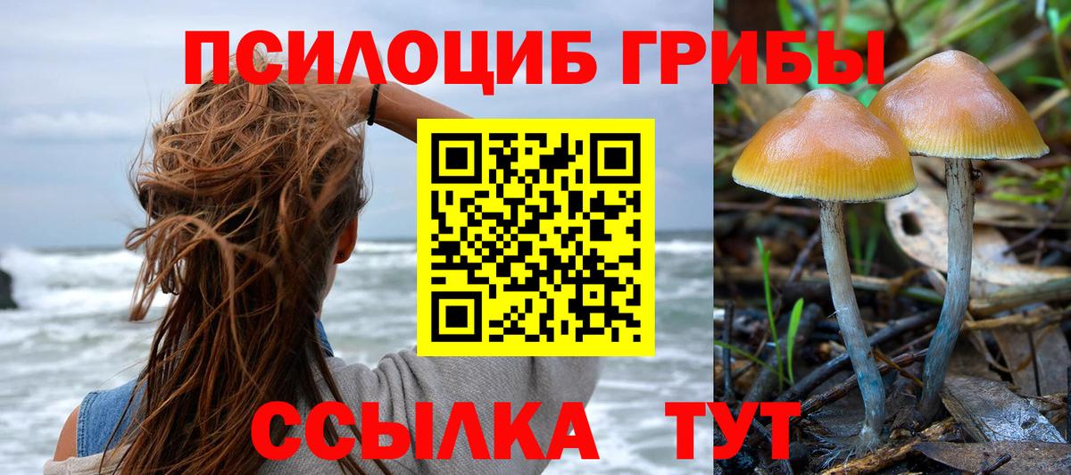 Галлюциногенные грибы мухоморы Новоалександровск