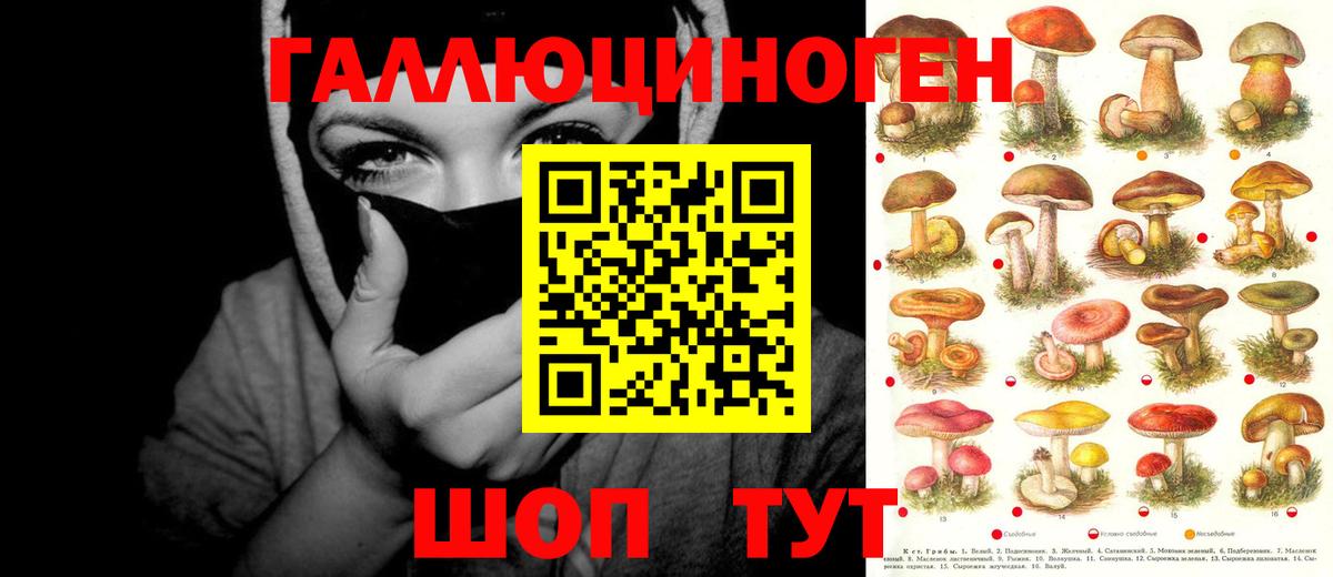 Новоалександровск  Галлюциногенные грибы прущие грибы  Вход с VPN 